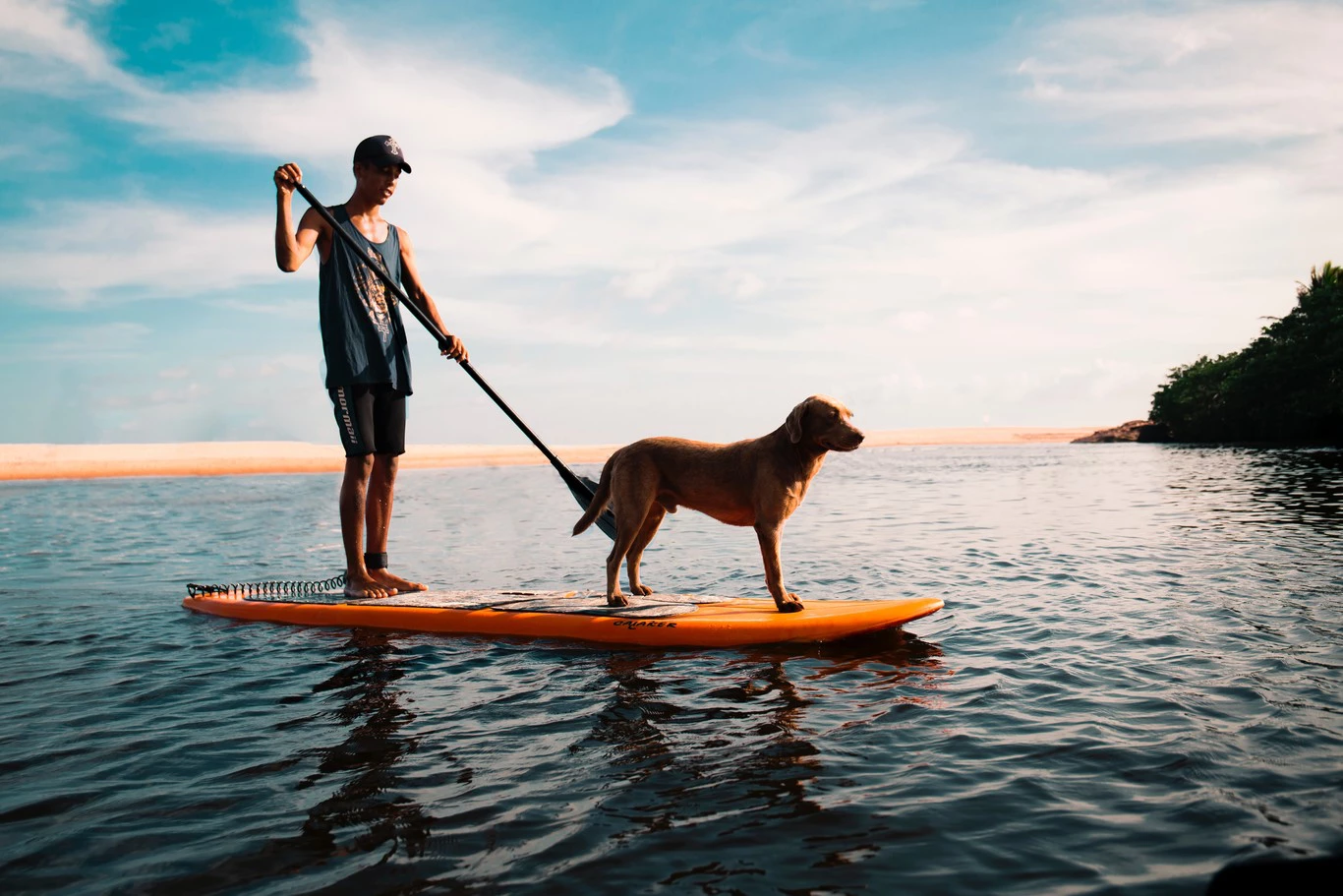 Alquiler de Paddle Surf